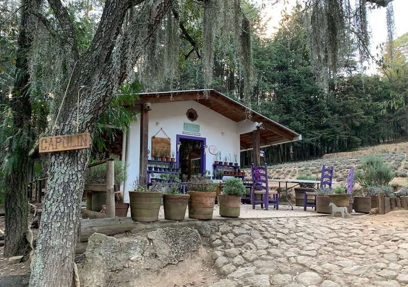 Chautla's Castle, Lavender Farm, and Valquirico Private Tour - Key points at a glance