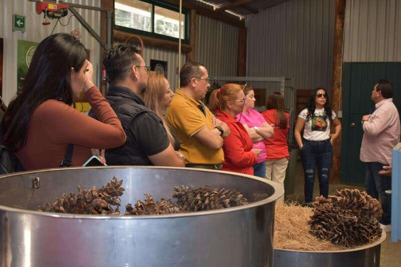 Chautla's Castle, Lavender Farm, and Valquirico Private Tour - Lavender coffee, sponge cake, and a small tasting