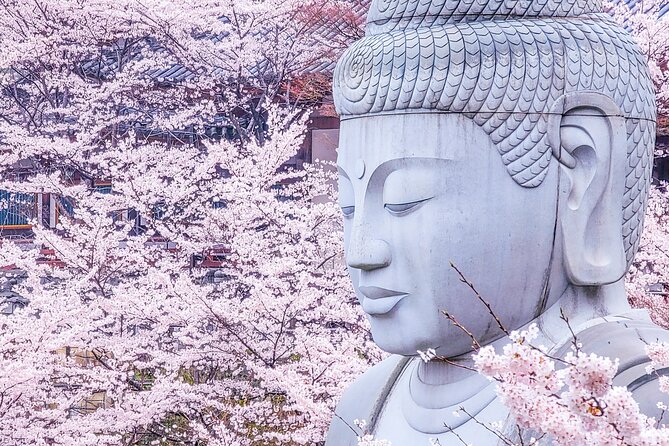 Cherry Blossom Buddha and Mt.Yoshino with Strawberry Picking Tour - Key points to know before booking