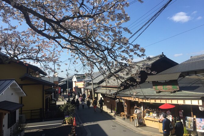 Cherry Blossom Buddha and Mt.Yoshino with Strawberry Picking Tour - The short stop at Roadside Station Katsuragi