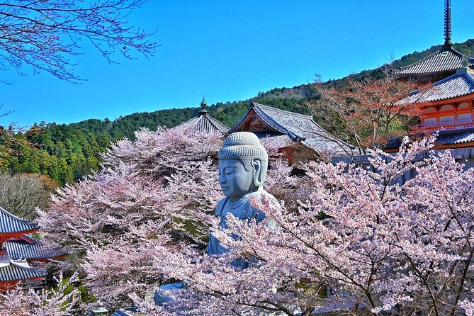 Cherry Blossom Buddha and Mt.Yoshino with Strawberry Picking Tour - Asuka Village strawberry picking