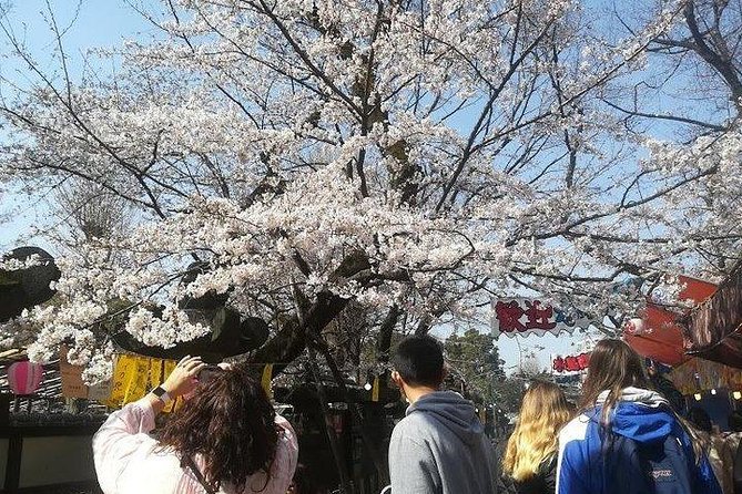 Cherry Blossom Highlights, Asakusa, Ueno, Imperial Palace Garden - Ameyoko Shopping Street and the final taste of downtown Tokyo