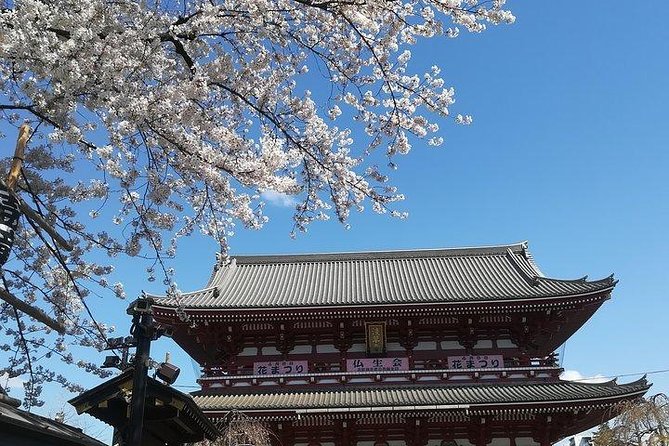 Cherry Blossom Highlights, Asakusa, Ueno, Imperial Palace Garden - Who will enjoy this Tokyo blossom tour?