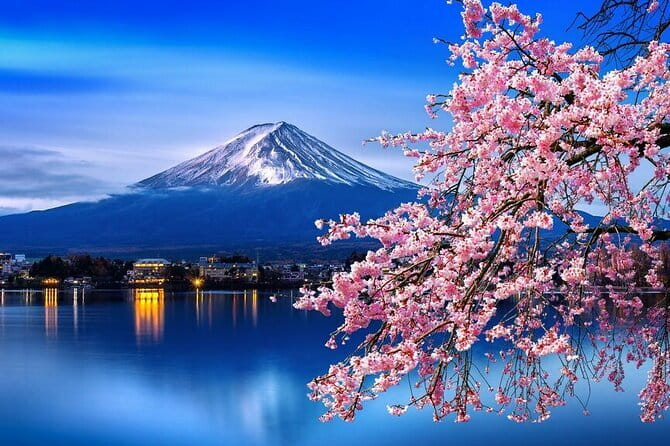 Cherry Blossom Mount Fuji Customizable Luxury vehicle Guided Tour - A private road day from Tokyo