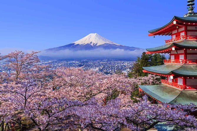 Cherry Blossom Mount Fuji Customizable Luxury vehicle Guided Tour - Oishi Park for flowers and an open Fuji view
