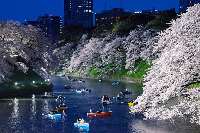 Cherry Blossom Private Tour - Roppongi brings blossoms to a city hill