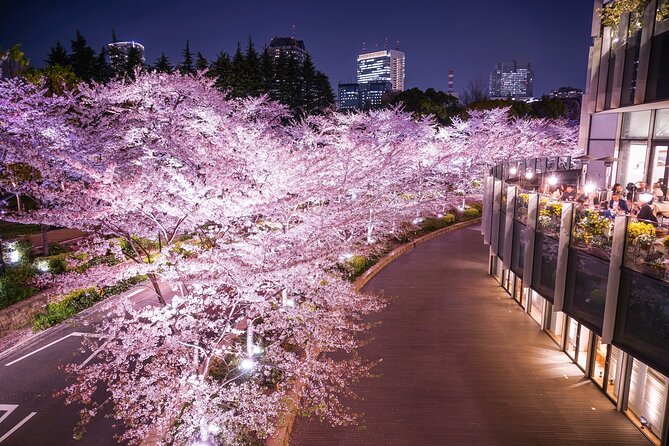 Cherry Blossom Private Tour - Akasaka offers a quieter photo stop