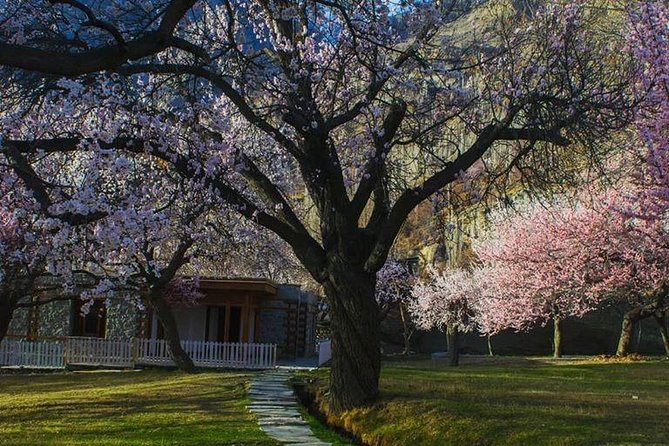 Cherry Blossom Tour -Hunza Valley - Day One: Islamabad to Besham by the Karakoram Highway