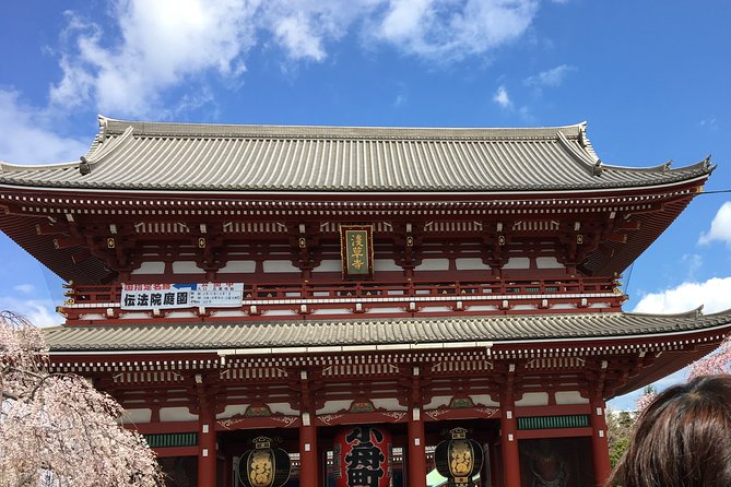 Cherry blossom tour in Tokyo - Hamarikyu Gardens and a former shogun retreat