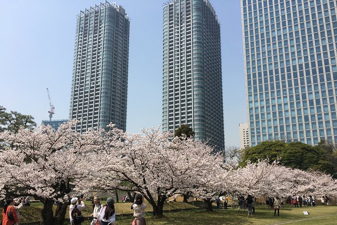 Cherry blossom tour in Tokyo - Chidorigafuchi and the Imperial Palace moat