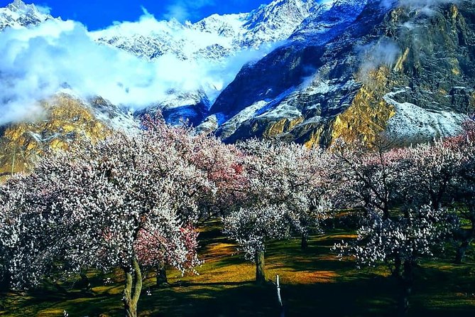 Cherry Blossoms Trip to Northern Areas of Pakistan 2020 (8D 7N) - Key points at a glance