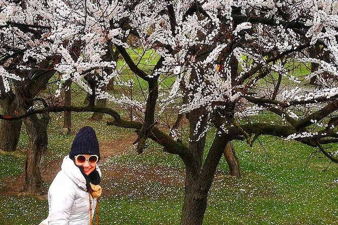 Cherry Blossoms Trip to Northern Areas of Pakistan 2020 (8D 7N) - Day 1: A simple start in Islamabad
