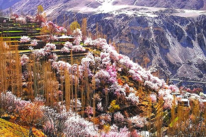 Cherry Blossoms Trip to Northern Areas of Pakistan 2020 (8D 7N) - Day 2: Twelve hours north to Chilas