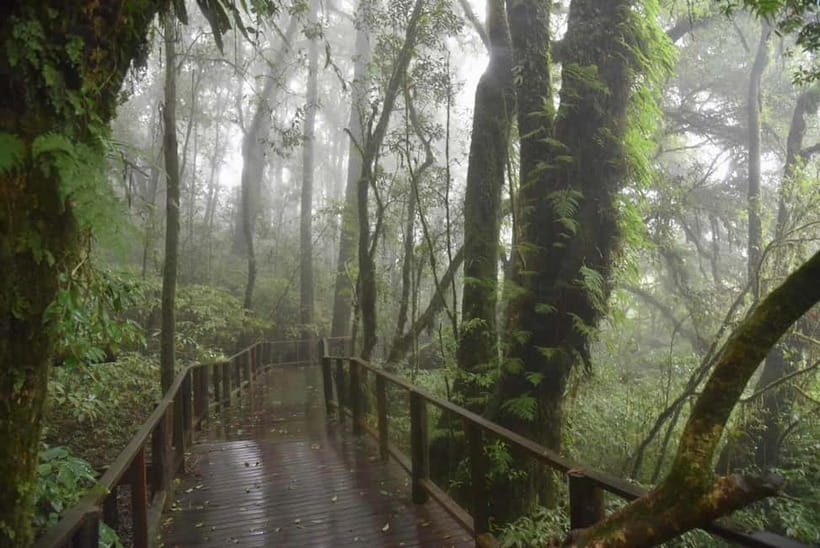 Chiang Mai: Doi Inthanon National Park and Kew Mae Pan Tour - Reaching Doi Inthanon from Chiang Mai