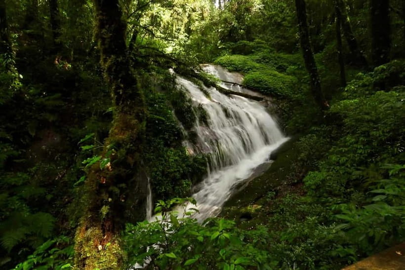 Chiang Mai: Doi Inthanon National Park and Kew Mae Pan Tour - Is $61 a fair price?
