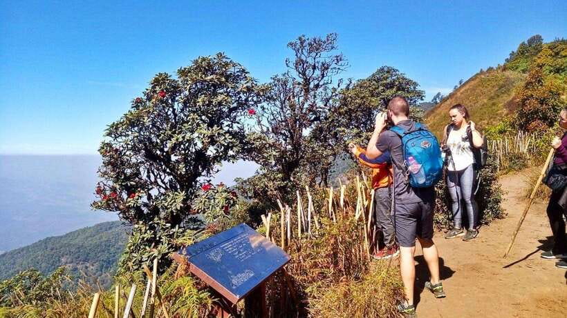 Chiang Mai:Doi Inthanon National Park & Hike at Kew Mae Pan - Why Doi Inthanon makes a good full-day outing