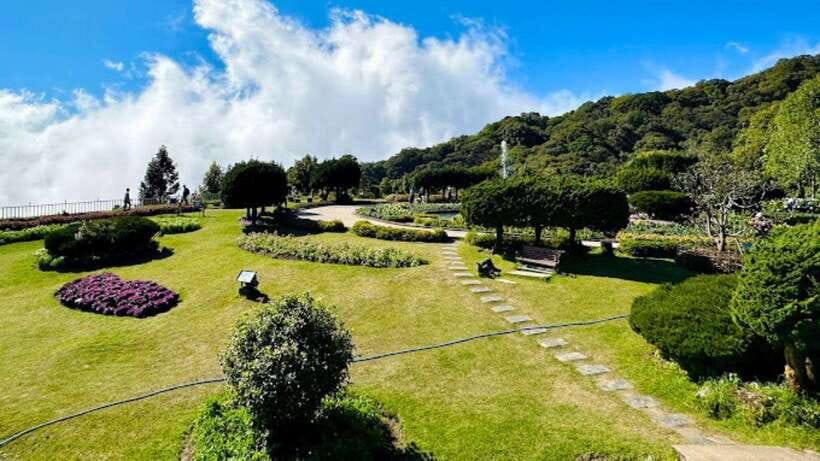 Chiang Mai:Doi Inthanon National Park & Hike at Kew Mae Pan - Kew Mae Pan, the reason to check the season