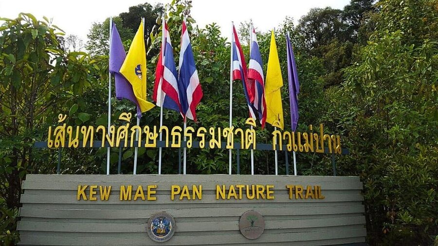 Chiang Mai:Doi Inthanon National Park & Hike at Kew Mae Pan - Wachirathan Waterfall closes the day well