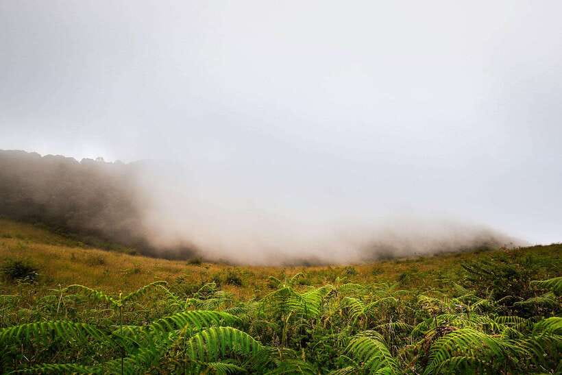Chiang Mai: Doi Inthanon Park Tour & Kew Mae Pan Trail Hike - Kew Mae Pan is the main event