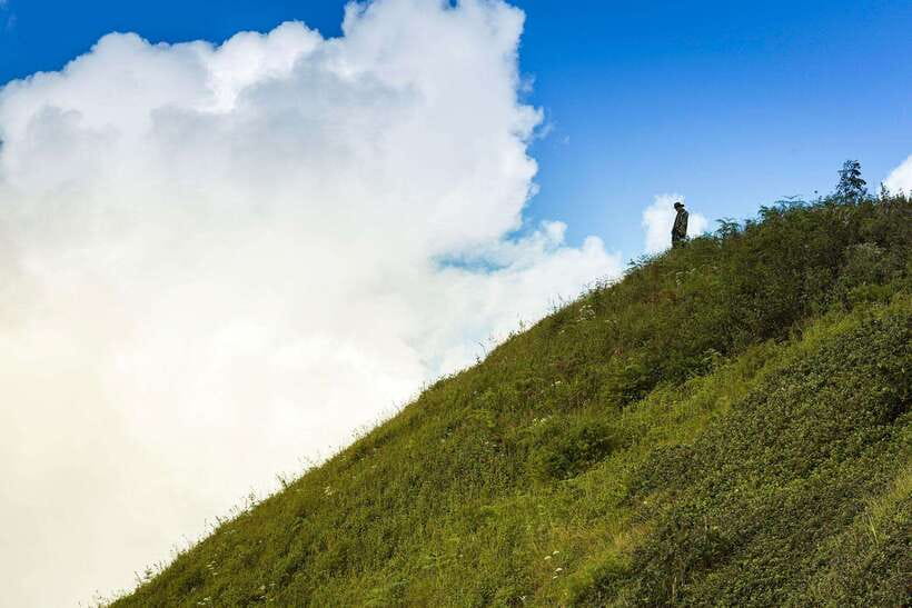 Chiang Mai: Doi Inthanon Park Tour & Kew Mae Pan Trail Hike - Thailand’s highest point is brief but worthwhile