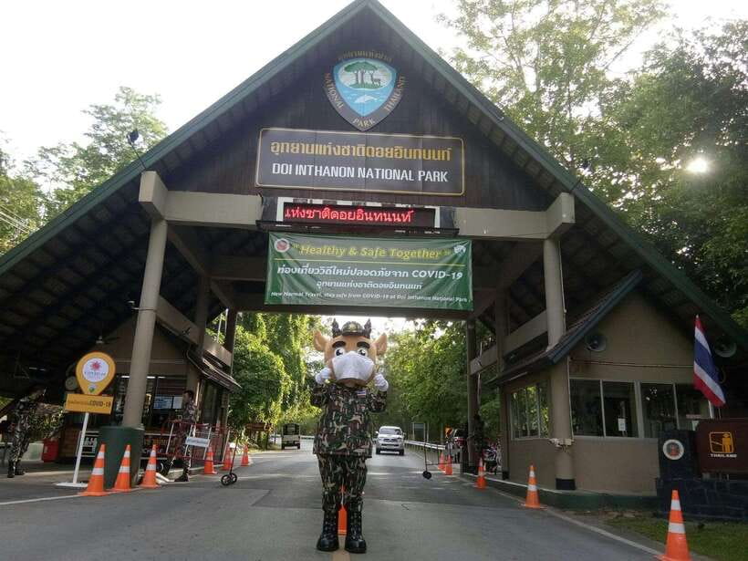Chiang Mai: Doi Inthanon Park Tour & Kew Mae Pan Trail Hike - Is the $51 price good value?