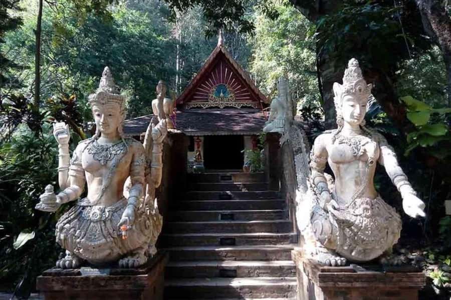 Chiang Mai: Doi Suthep, Orchid Farm and Waterfall with Lunch - Why this Chiang Mai day trip works