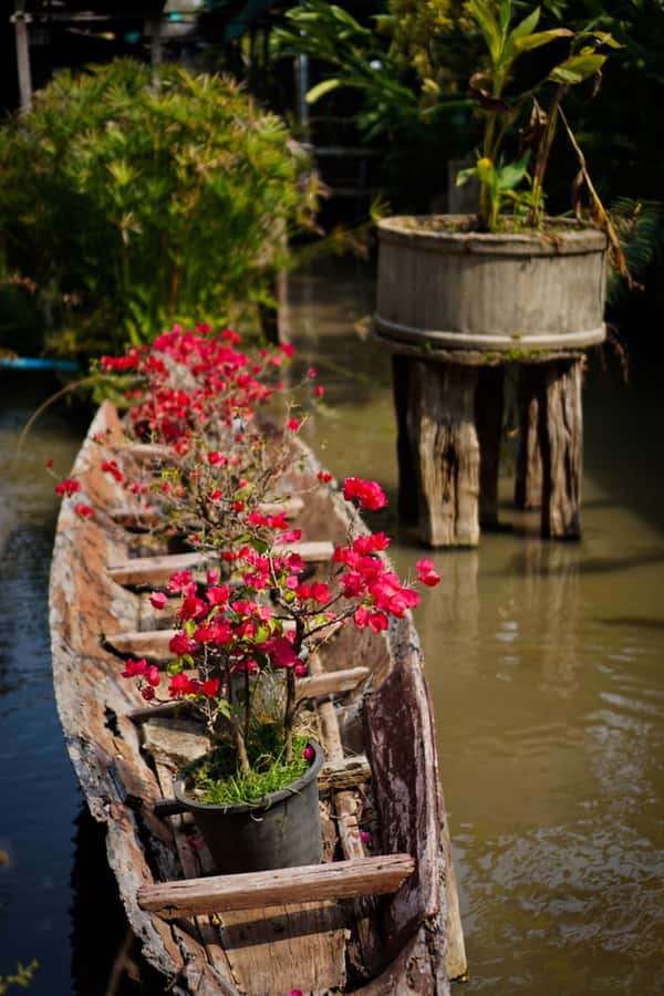 Chiang Mai: Doi Suthep, Orchid Farm and Waterfall with Lunch - Orchids, butterflies, and a slower hour