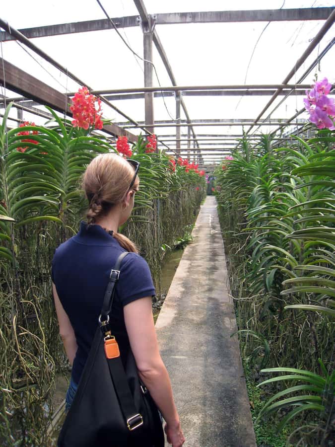Chiang Mai: Doi Suthep, Orchid Farm and Waterfall with Lunch - The optional Karen village visit