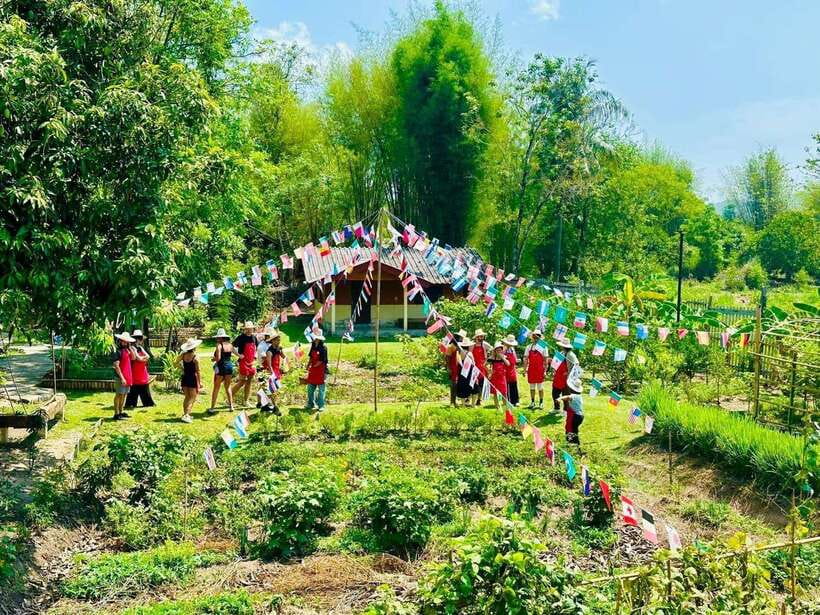 Chiang Mai: Half Day Cooking Class at Organic Farm - Why this five-hour class earns its place in Chiang Mai