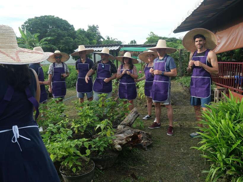 Chiang Mai: Half Day Cooking Class at Organic Farm - Choosing between the city and farm settings