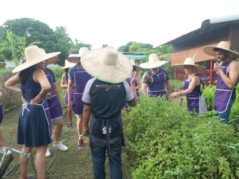 Chiang Mai: Half Day Cooking Class at Organic Farm - Eating what you have cooked