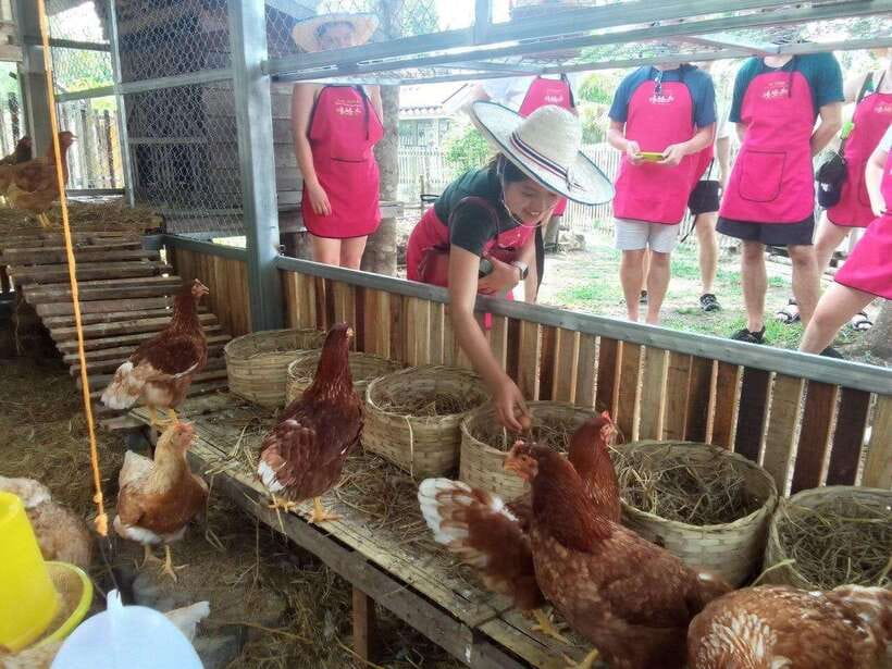 Chiang Mai: Half Day Cooking Class at Organic Farm - The market visit makes the cooking lesson clearer