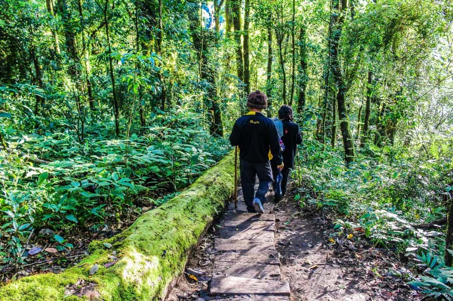 Chiang Mai: Kew Mae Pan Nature Trail & Doi Inthanon Day Trip - Is the $54 price good value?