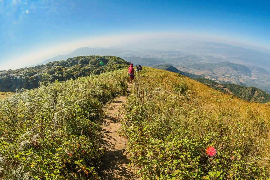 Chiang Mai: Kew Mae Pan Nature Trail & Doi Inthanon Day Trip - Climbing to Thailand’s rooftop