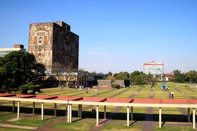 City Tour and Xochimilco Floating gardens - The trajinera ride at Xochimilco