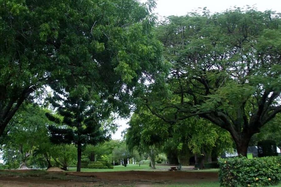 City Tour w/ Gardens, Volcano, Trafalgar Falls, Morne Bruce - Morne Bruce, where Roseau opens below you