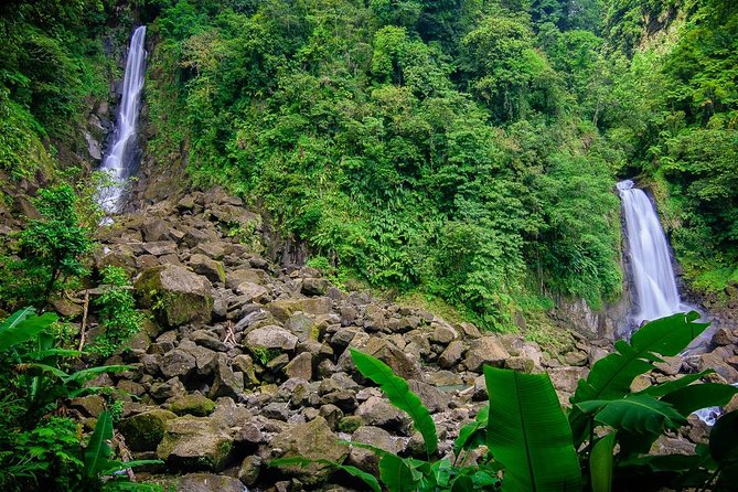City Tour with Botanical Gardens, Trafalgar Falls & Morne Bruce - A quick way to meet Roseau and the island beyond