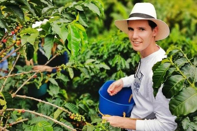 Coffee Tour in the Beautiful Jardin Town: Adventure in the Andes - Picking coffee instead of only watching