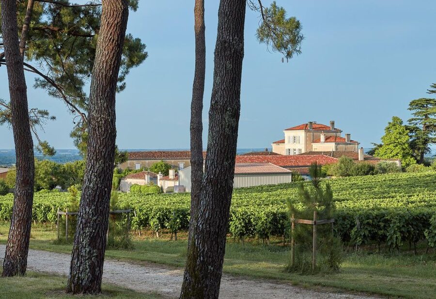 Cognac: 3-Hour Private Painting with Artist Jeanne Maze - FAQ