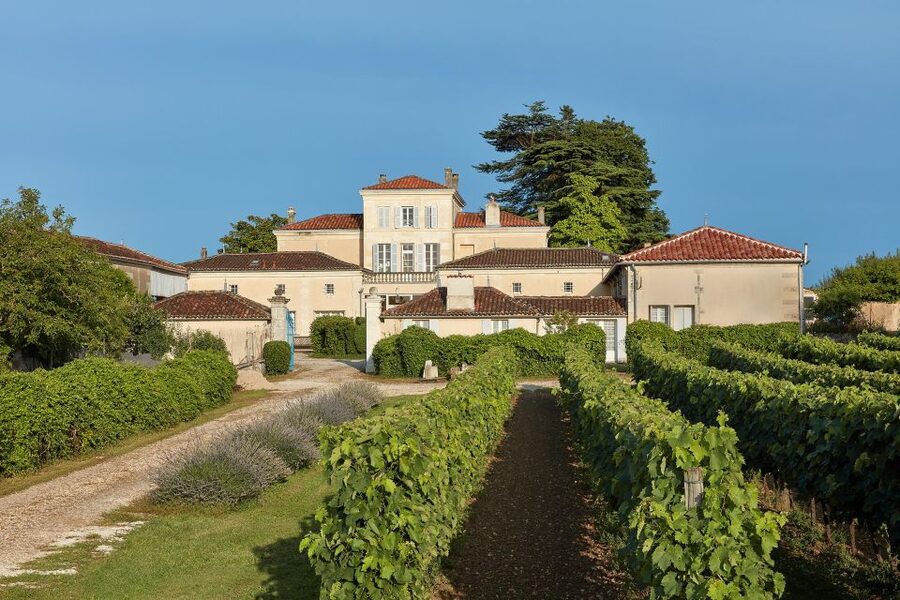Cognac: 3-Hour Private Painting with Artist Jeanne Maze - Is $68 a fair price?