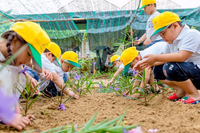 Cooking Class Hoi An - Organic Garden - Farming Tour-Handicrafts - The rice paper lesson is a real highlight