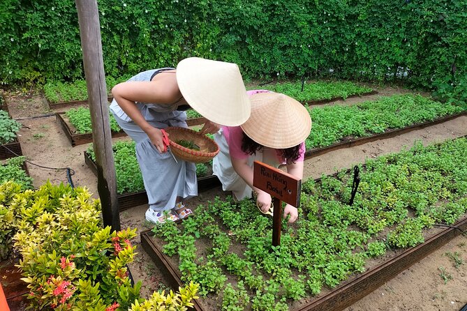 Cooking Class Hoi An - Organic Garden - Farming Tour-Handicrafts - Cooking with local instruction