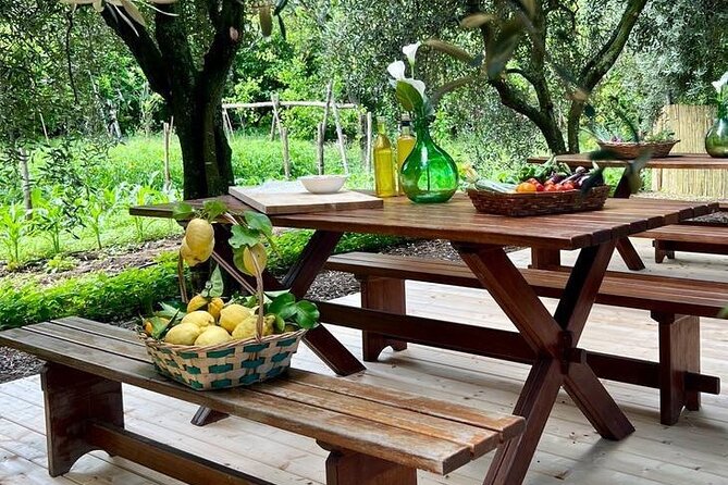 Cooking Class in a Typical Sorrento Garden - Key points about this Sorrento cooking class