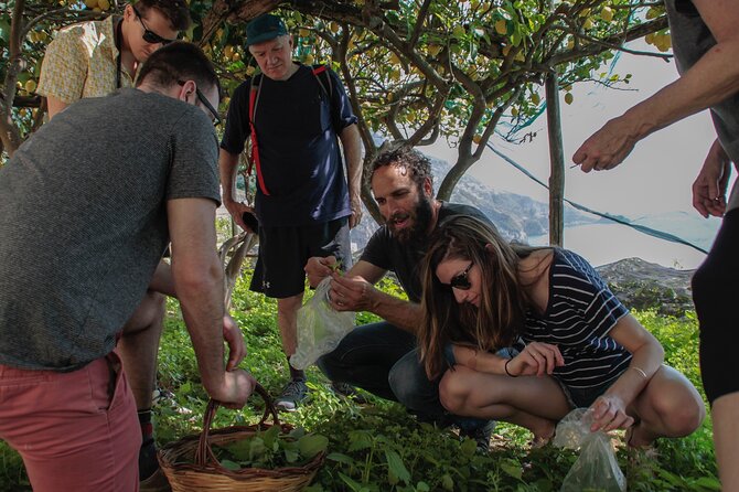 Cooking Class with garden visit - Getting there and preparing for the morning