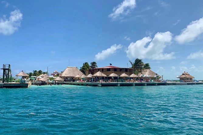 Coral Garden Shark and Sting Ray Alley Snorkeling - What this Belize snorkeling trip actually feels like