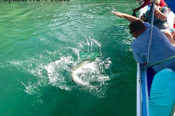 Coral Garden Shark and Sting Ray Alley Snorkeling - From Belize City to Caye Caulker by boat