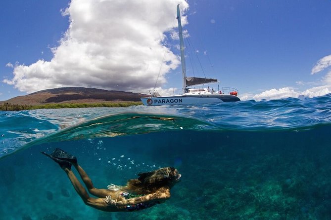 Coral Gardens Coastal Snorkel & Sail - Key points to know before you book