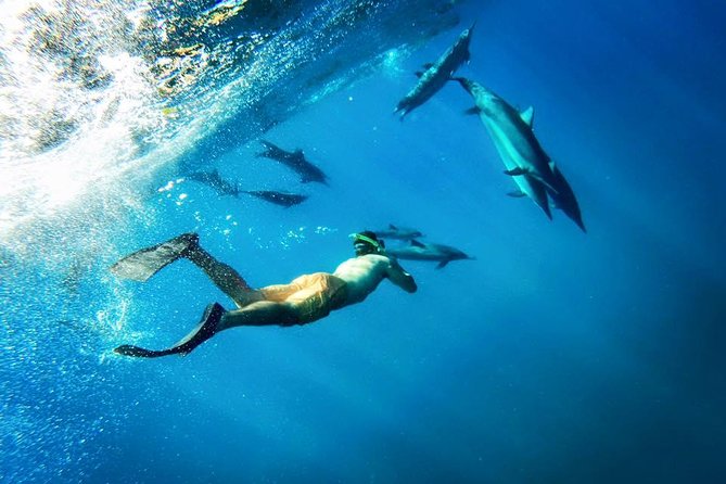 Coral Gardens Coastal Snorkel & Sail - Leaving Maalaea and choosing the day’s best water