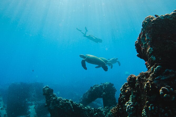 Coral Gardens Coastal Snorkel & Sail - Who will get the most from the $129.73 price