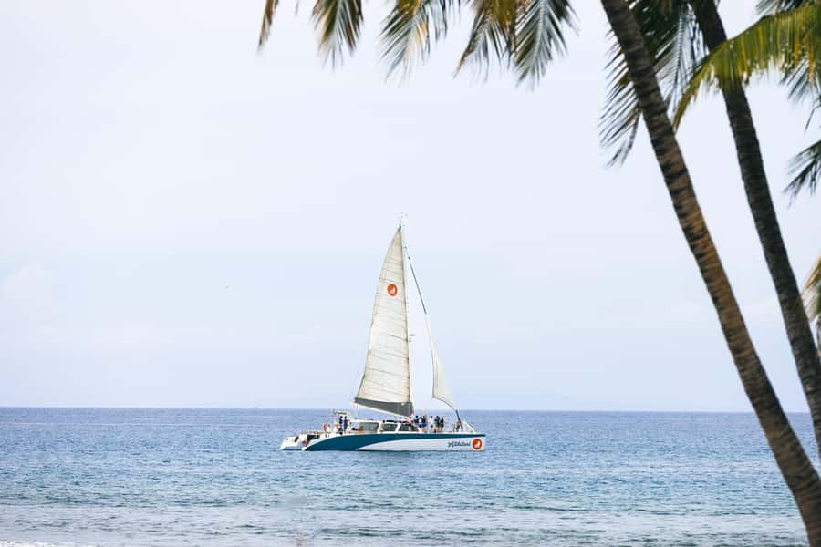 Coral Gardens Snorkel & Whale Watch - Why This Three-Hour Maui Cruise Works